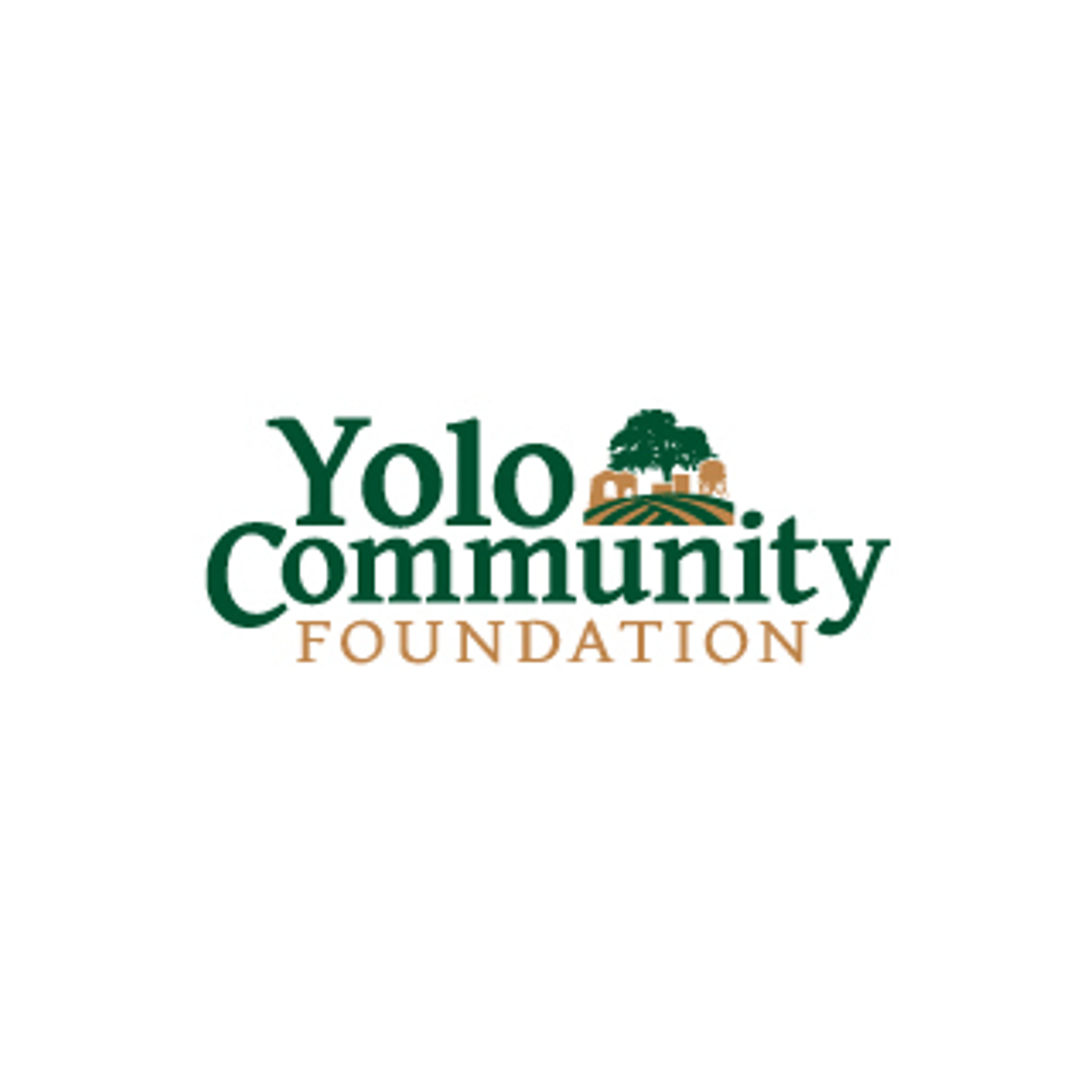 Yolo Foundation