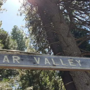 Bear Valley Decision for 2020